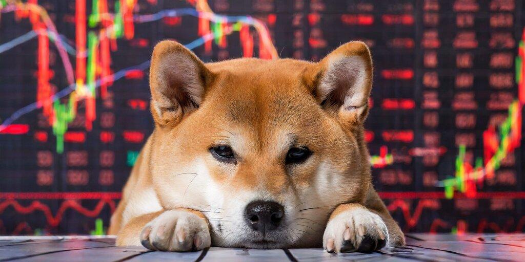 Dogecoin Erases 2025 Gains as Bitcoin and Solana Continue to Decline