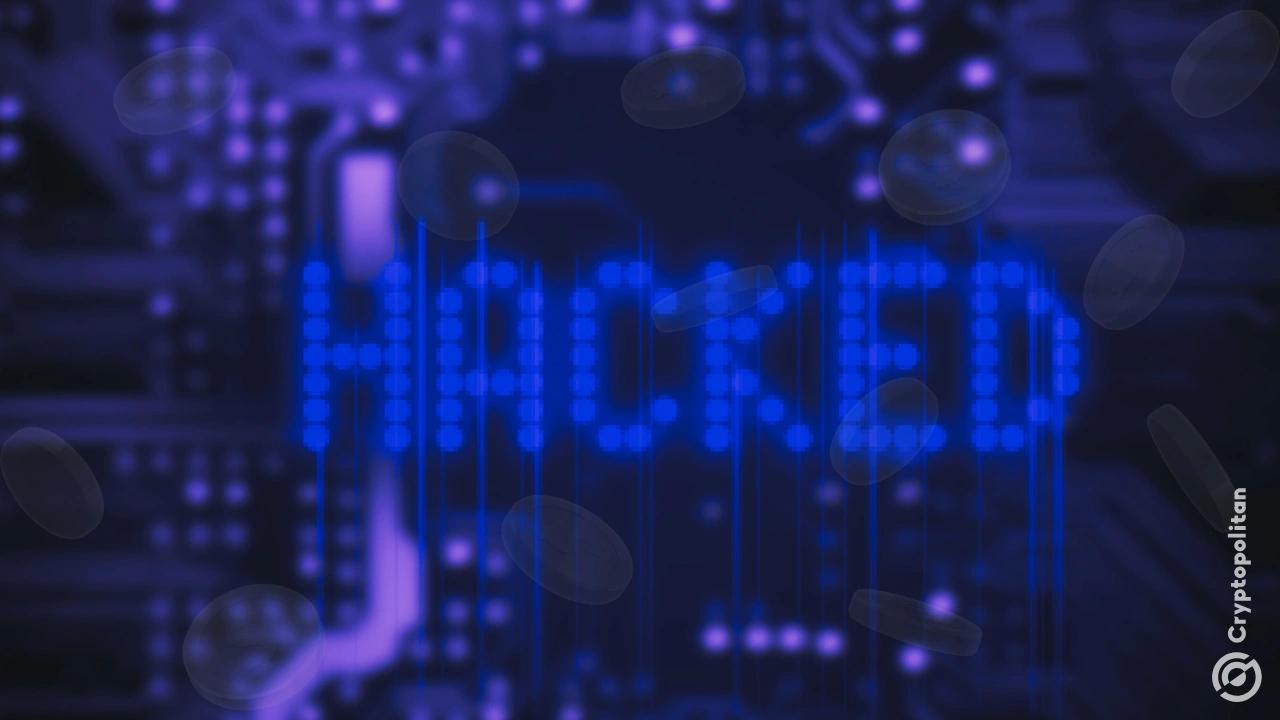 The Founder of Eliza Speaks Out After Hackers Cause Investor Disappearance